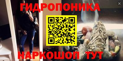 jwh Нальчик