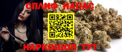 jwh Нальчик