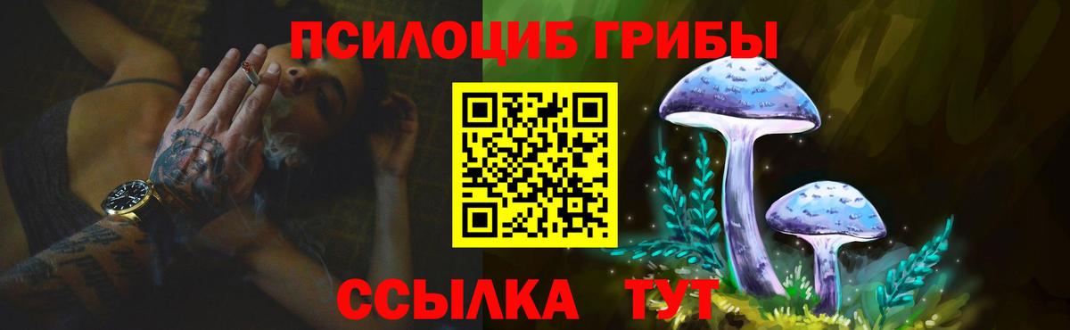 цены наркотик  Вход с VPN  Усолье-Сибирское  Псилоцибиновые грибы мицелий 